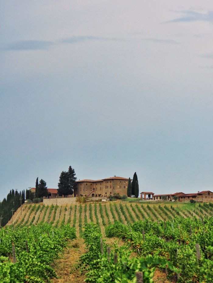 A picturesque Tuscan vineyard landscape with a historic farmhouse under a clear summer sky.
