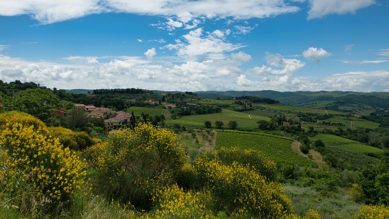 Scenic view of rolling hills and vineyards in Siena, Tuscany, Italy.