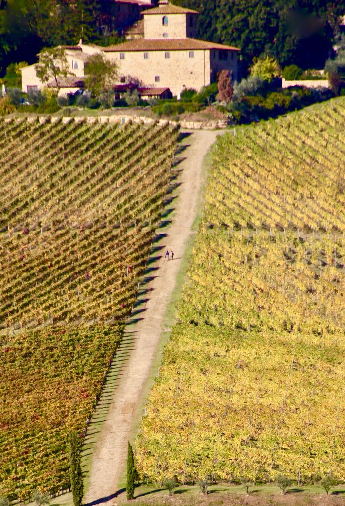 A scenic aerial view of a vineyard in Tuscany with a rustic villa and distant figures.